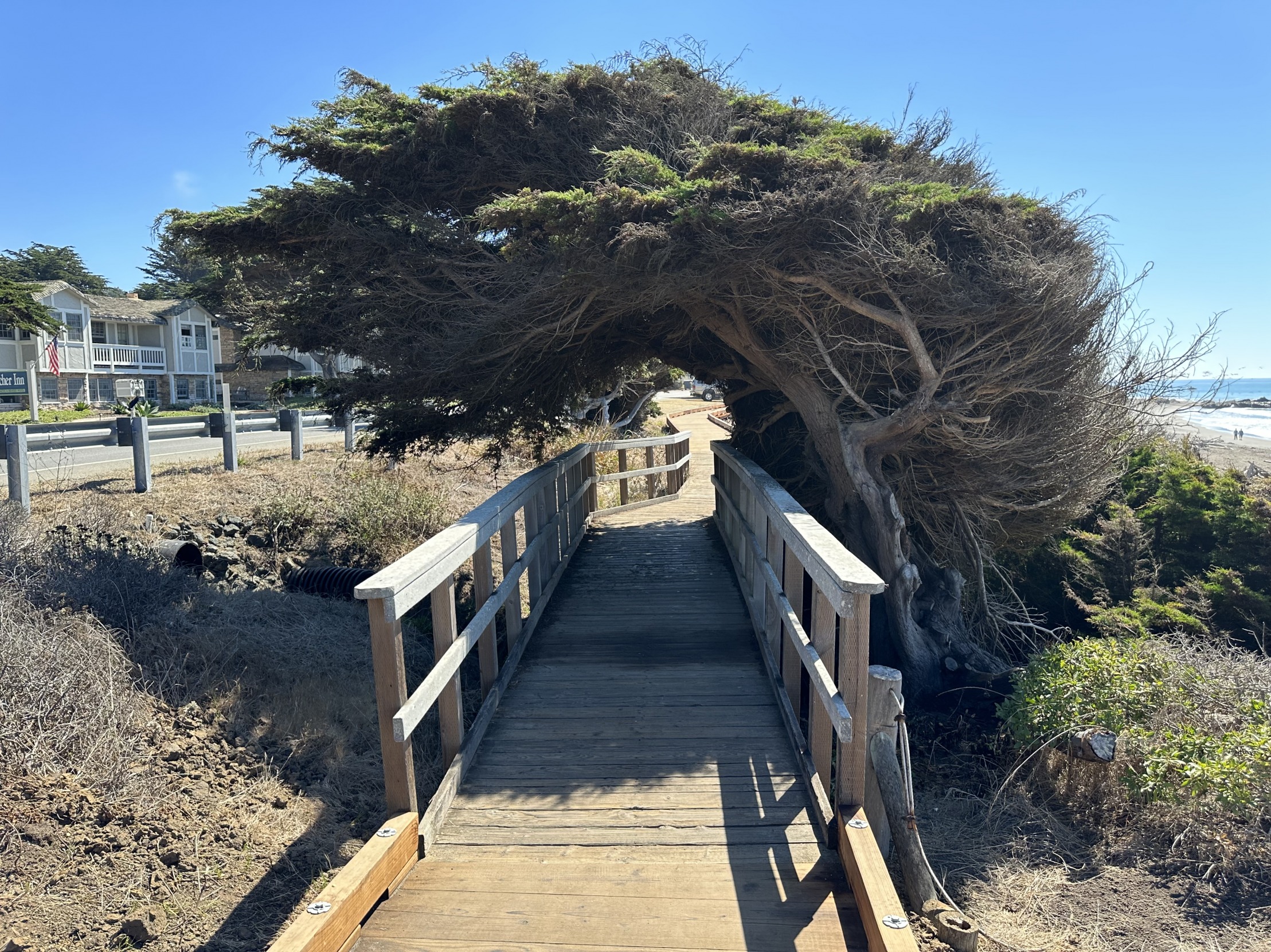 Healing journey Blank Meme Template