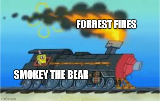 Smokey causes Forrest fires!!! | FORREST FIRES; SMOKEY THE BEAR | image tagged in spongebob driving the oceanic express | made w/ Imgflip meme maker