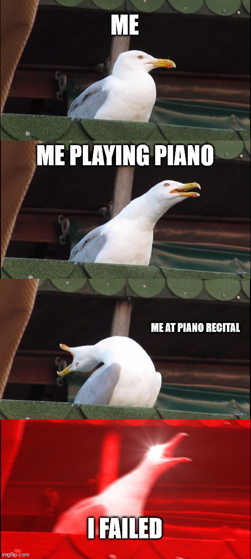 fxdb3QAbje'pdz;zibdnq | ME; ME PLAYING PIANO; ME AT PIANO RECITAL; I FAILED | image tagged in memes,inhaling seagull | made w/ Imgflip meme maker