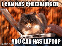 me need cezbuger | image tagged in cats | made w/ Imgflip images-to-gif maker