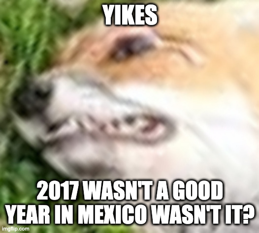 Yikes Fox | YIKES 2017 WASN'T A GOOD YEAR IN MEXICO WASN'T IT? | image tagged in yikes fox | made w/ Imgflip meme maker