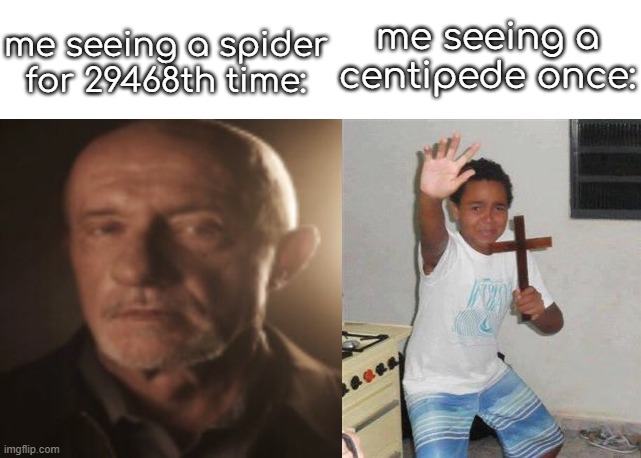 me seeing a centipede once:; me seeing a spider for 29468th time: | image tagged in my honest reaction,scared kid | made w/ Imgflip meme maker