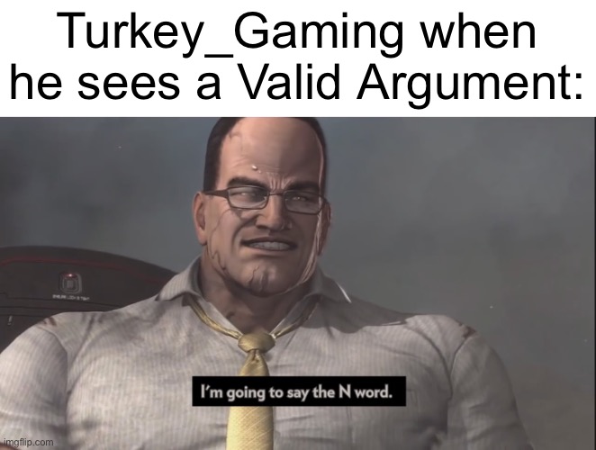 *proceeds to say the n wodr 900 trillion times* | Turkey_Gaming when he sees a Valid Argument: | image tagged in i'm gonna say the n word,imgflip | made w/ Imgflip meme maker