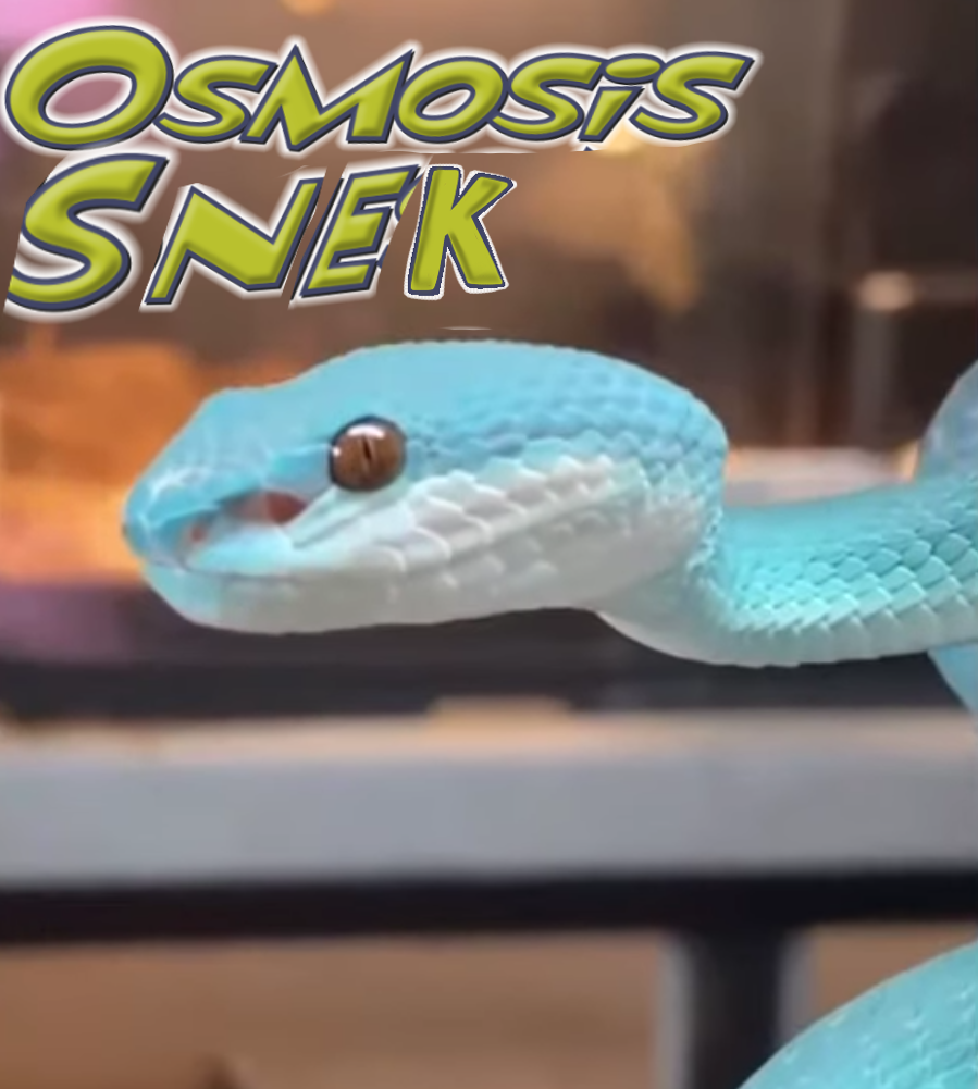 Osmosis snek Blank Meme Template