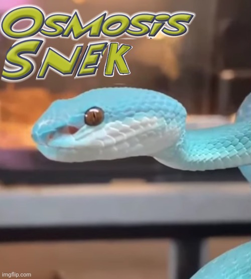 Osmosis snek | image tagged in osmosis snek | made w/ Imgflip meme maker