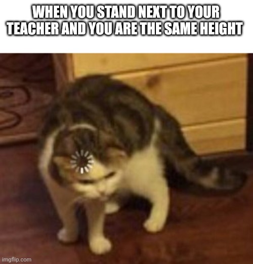 Loading cat | WHEN YOU STAND NEXT TO YOUR TEACHER AND YOU ARE THE SAME HEIGHT | image tagged in loading cat | made w/ Imgflip meme maker
