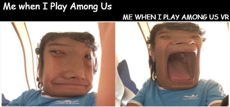 Is this true? | ME WHEN I PLAY AMONG US VR; Me when I Play Among Us | image tagged in among us | made w/ Imgflip meme maker