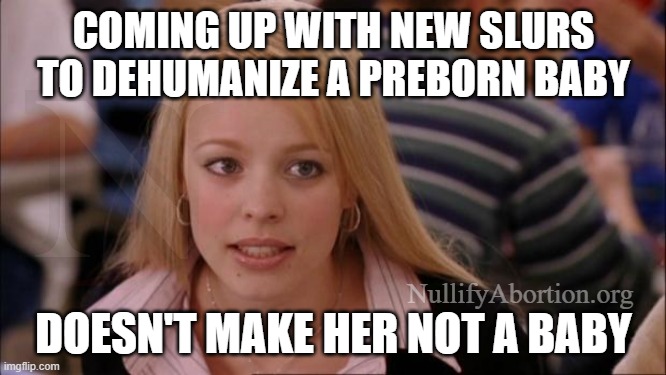 Dehumanizing the baby doesn't make it not a baby, pro-aborts | COMING UP WITH NEW SLURS TO DEHUMANIZE A PREBORN BABY; NullifyAbortion.org; DOESN'T MAKE HER NOT A BABY | image tagged in memes,its not going to happen,abortion is murder,prolife,abolition | made w/ Imgflip meme maker