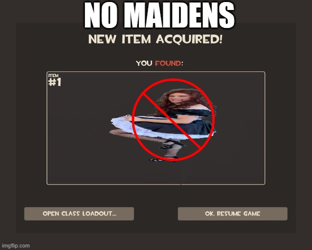 You got tf2 shit | NO MAIDENS | image tagged in you got tf2 shit | made w/ Imgflip meme maker