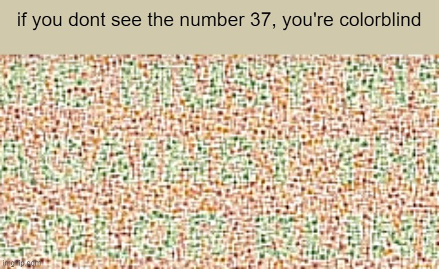 if you dont see the number 37, you're colorblind | made w/ Imgflip meme maker