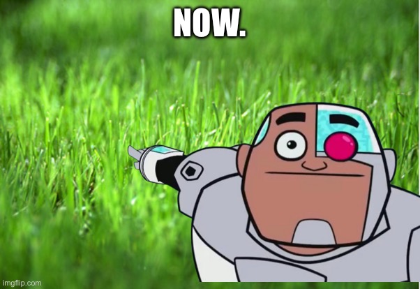 Go touch grass… NOW. | NOW. | image tagged in grass is greener | made w/ Imgflip meme maker