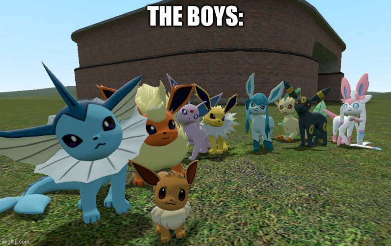 eeveelutions | THE BOYS: | image tagged in eeveelutions | made w/ Imgflip meme maker