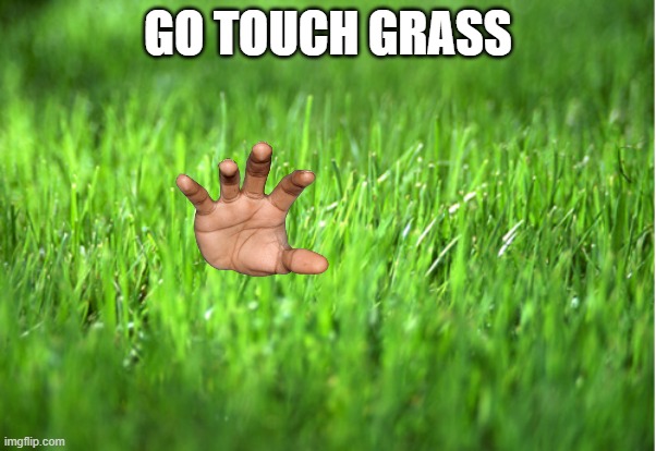 grass is greener | GO TOUCH GRASS | image tagged in grass is greener | made w/ Imgflip meme maker