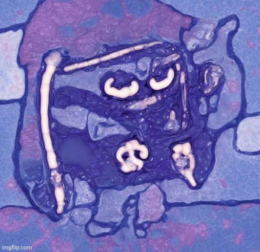 Sex | image tagged in i beg your pathogen but made of pathogens | made w/ Imgflip meme maker