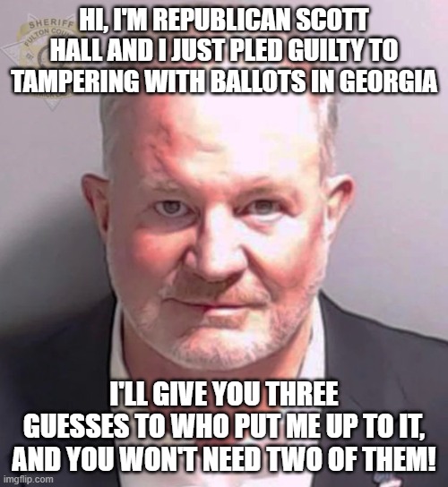 Scott Hall Georgia | HI, I'M REPUBLICAN SCOTT HALL AND I JUST PLED GUILTY TO TAMPERING WITH BALLOTS IN GEORGIA; I'LL GIVE YOU THREE GUESSES TO WHO PUT ME UP TO IT, AND YOU WON'T NEED TWO OF THEM! | image tagged in scott hall georgia | made w/ Imgflip meme maker