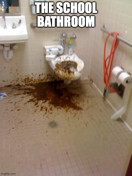 Girls poop too | THE SCHOOL BATHROOM | image tagged in girls poop too | made w/ Imgflip meme maker