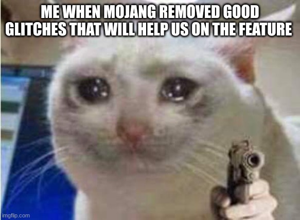 Sad cat with gun | ME WHEN MOJANG REMOVED GOOD GLITCHES THAT WILL HELP US ON THE FEATURE | image tagged in sad cat with gun | made w/ Imgflip meme maker