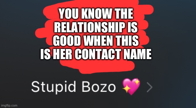 YOU KNOW THE RELATIONSHIP IS GOOD WHEN THIS IS HER CONTACT NAME | made w/ Imgflip meme maker