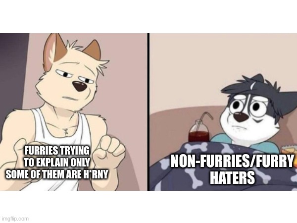 NOT ALL FURRIES ARE BAD, GET THE FRICKEN MESSAGE NON FURRIES AND FURRY HATERS | NON-FURRIES/FURRY HATERS; FURRIES TRYING TO EXPLAIN ONLY SOME OF THEM ARE H*RNY | image tagged in meme | made w/ Imgflip meme maker