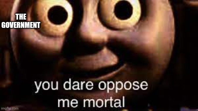 You Dare Oppose Me Mortal | THE GOVERNMENT | image tagged in you dare oppose me mortal | made w/ Imgflip meme maker