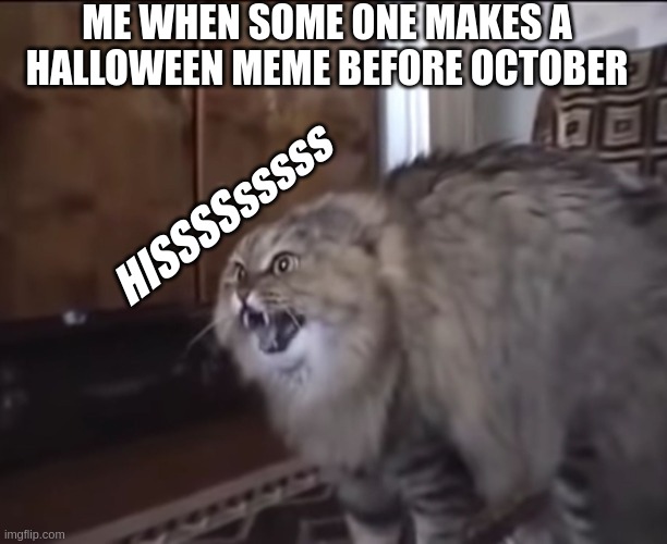 Hissing cat | ME WHEN SOME ONE MAKES A HALLOWEEN MEME BEFORE OCTOBER; HISSSSsssss | image tagged in hissing cat | made w/ Imgflip meme maker