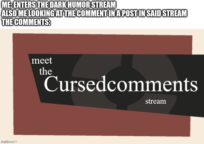 Meet the cursed comments stream | ME: ENTERS THE DARK HUMOR STREAM
ALSO ME LOOKING AT THE COMMENT IN A POST IN SAID STREAM
THE COMMENTS: | image tagged in meet the cursed comments stream by ninjakiller111113 | made w/ Imgflip meme maker