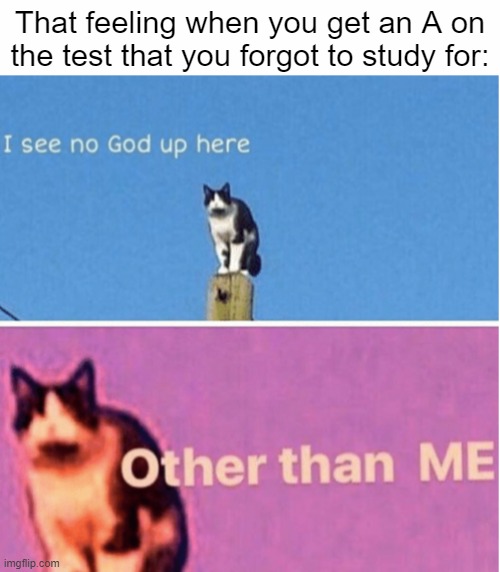 This actually happened to me today :/ | That feeling when you get an A on the test that you forgot to study for: | image tagged in white text box | made w/ Imgflip meme maker