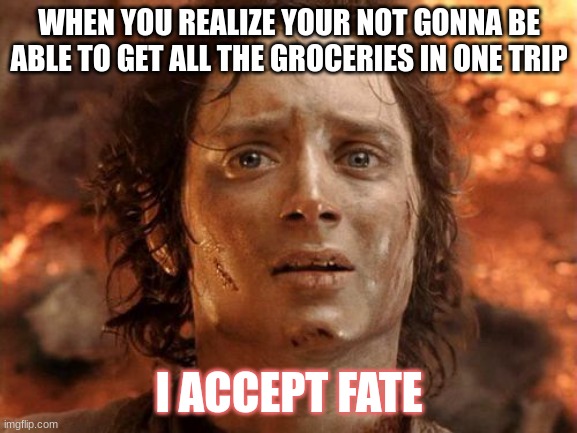 Guess theirs gonna be another trip | WHEN YOU REALIZE YOUR NOT GONNA BE ABLE TO GET ALL THE GROCERIES IN ONE TRIP; I ACCEPT FATE | image tagged in memes,it's finally over | made w/ Imgflip meme maker