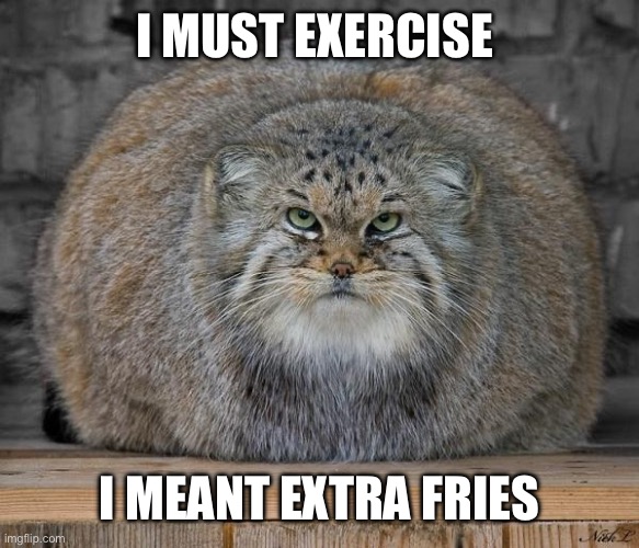 Fat Cats Exercise | I MUST EXERCISE; I MEANT EXTRA FRIES | image tagged in fat cats exercise | made w/ Imgflip meme maker