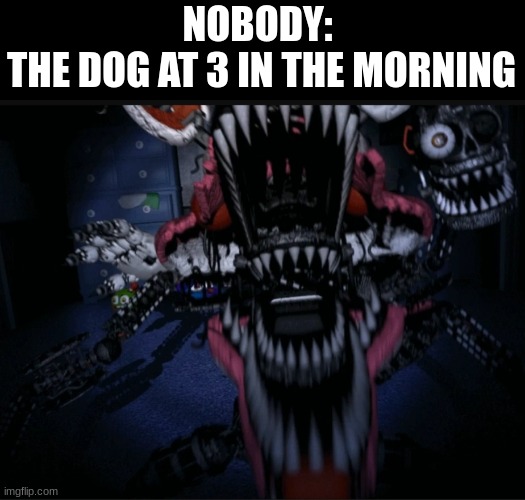 the dog | NOBODY: 
THE DOG AT 3 IN THE MORNING | image tagged in five nights at freddy's,dog,3 am | made w/ Imgflip meme maker