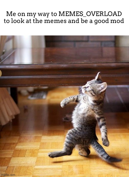 :) | Me on my way to MEMES_OVERLOAD to look at the memes and be a good mod | image tagged in cat walking like a boss | made w/ Imgflip meme maker