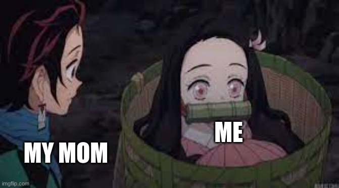 ME; MY MOM | image tagged in funny | made w/ Imgflip meme maker