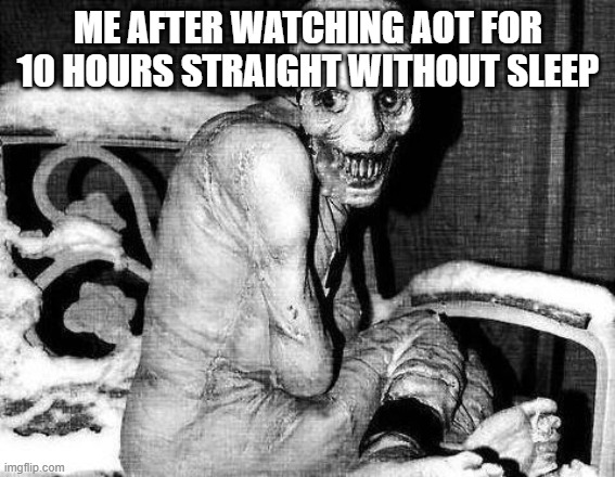 Russian Sleep Experiment | ME AFTER WATCHING AOT FOR 10 HOURS STRAIGHT WITHOUT SLEEP | image tagged in russian sleep experiment | made w/ Imgflip meme maker