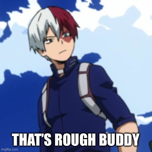 That’s Rough Buddy | THAT’S ROUGH BUDDY | image tagged in funny memes,memes,zuko,todoroki,thats rough buddy | made w/ Imgflip meme maker