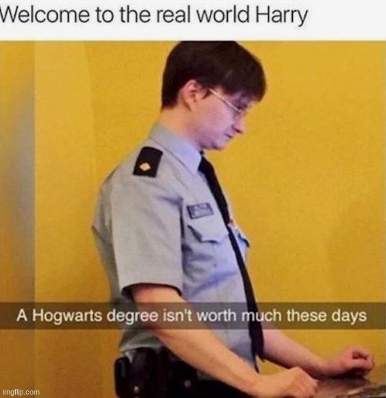 image tagged in memes,funny,harry potter | made w/ Imgflip meme maker