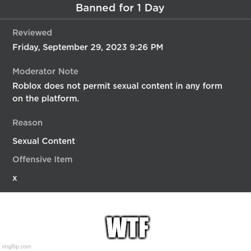 WTF | image tagged in memes,roblox,roblox meme | made w/ Imgflip meme maker