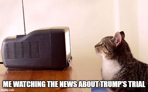 Hope he get's sentenced | ME WATCHING THE NEWS ABOUT TRUMP'S TRIAL | image tagged in cat watching tv | made w/ Imgflip meme maker