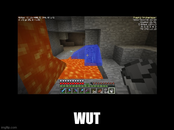 Mojang, explain | WUT | image tagged in minecraft,memes,wut,confused | made w/ Imgflip meme maker