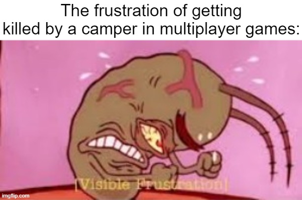 "Camper!!!" "Hacker!!!" | The frustration of getting killed by a camper in multiplayer games: | image tagged in visible frustration,gaming,memes,funny,relatable memes,so true memes | made w/ Imgflip meme maker