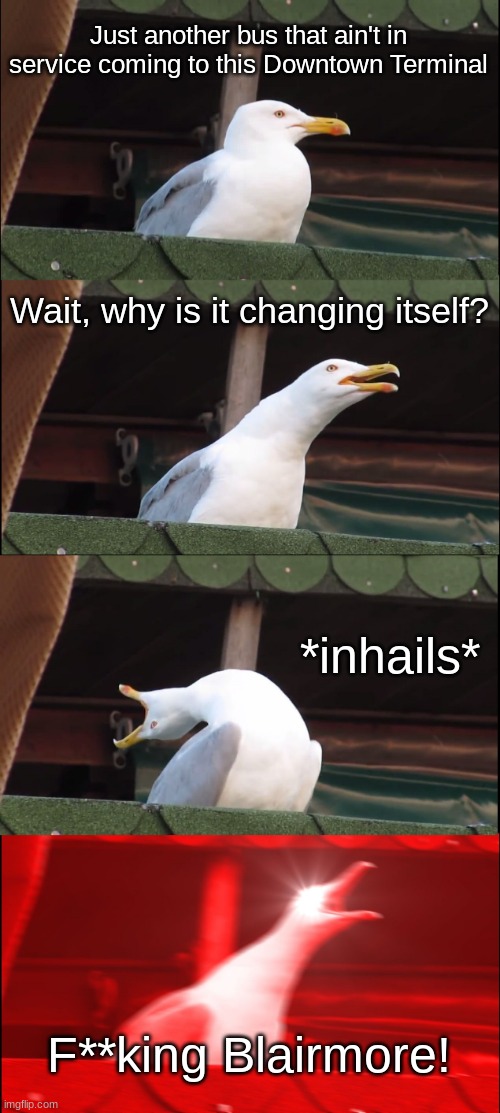 Yeah, this ain't no Confederation Terminal! | Just another bus that ain't in service coming to this Downtown Terminal; Wait, why is it changing itself? *inhails*; F**king Blairmore! | image tagged in memes,inhaling seagull | made w/ Imgflip meme maker