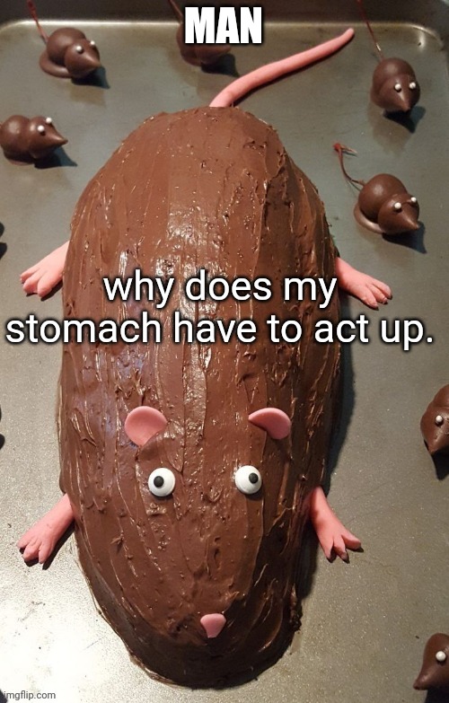 chocolate rat | MAN; why does my stomach have to act up. | image tagged in chocolate rat | made w/ Imgflip meme maker