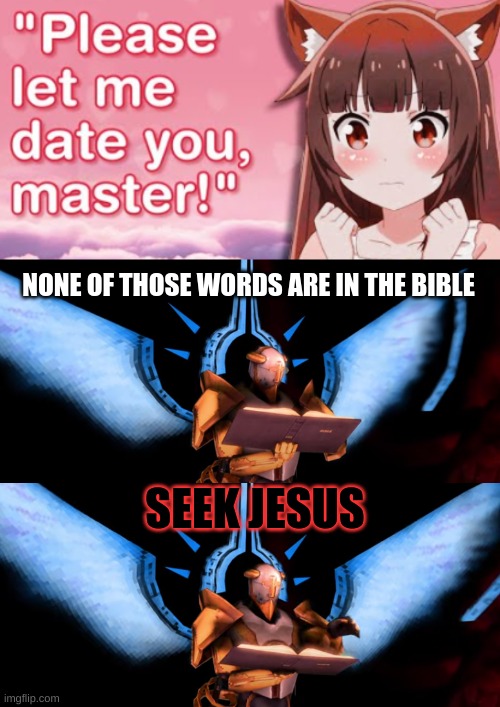 Seek help | NONE OF THOSE WORDS ARE IN THE BIBLE; SEEK JESUS | image tagged in funny | made w/ Imgflip meme maker