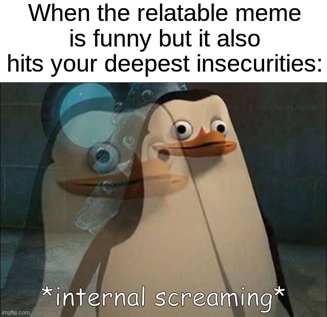I wonder how many people have had this because of my memes | When the relatable meme is funny but it also hits your deepest insecurities: | image tagged in private internal screaming,memes,funny,true story,relatable memes,internal screaming | made w/ Imgflip meme maker