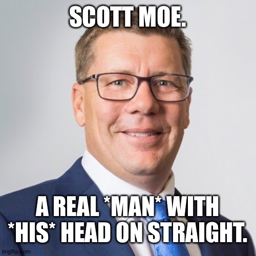 Stand your ground, good Sir. | SCOTT MOE. A REAL *MAN* WITH *HIS* HEAD ON STRAIGHT. | image tagged in canada | made w/ Imgflip meme maker