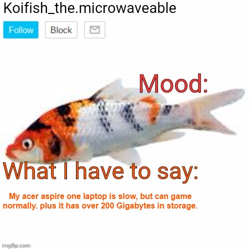 Koifish_the.microwaveable announcement | My acer aspire one laptop is slow, but can game normally. plus it has over 200 Gigabytes in storage. | image tagged in koifish_the microwaveable announcement | made w/ Imgflip meme maker