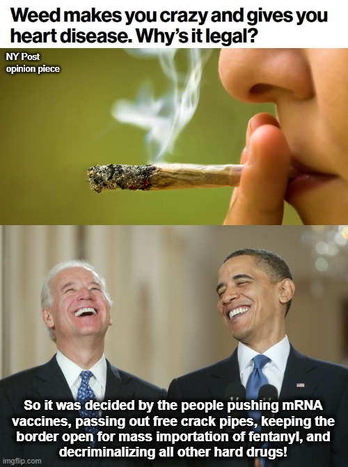 Duh! | NY Post
opinion piece; So it was decided by the people pushing mRNA
vaccines, passing out free crack pipes, keeping the
border open for mass importation of fentanyl, and
decriminalizing all other hard drugs! | image tagged in biden obama laugh,weed,marijuana,democrats,fentanyl,mrna vaccines | made w/ Imgflip meme maker