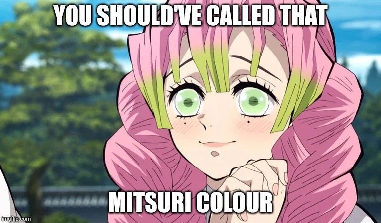 Mitsuri adores | YOU SHOULD'VE CALLED THAT MITSURI COLOUR | image tagged in mitsuri adores | made w/ Imgflip meme maker