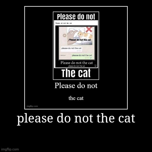please do not the cat | please do not the cat | | image tagged in funny,demotivationals,cats,funny cat,cat,funny cats | made w/ Imgflip demotivational maker