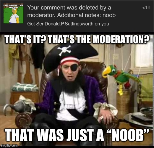 THAT’S IT? THAT’S THE MODERATION? THAT WAS JUST A “NOOB” | image tagged in patchy the pirate that's it | made w/ Imgflip meme maker