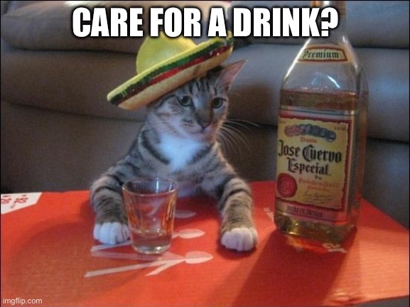 Tequila Cat | CARE FOR A DRINK? | image tagged in tequila cat | made w/ Imgflip meme maker